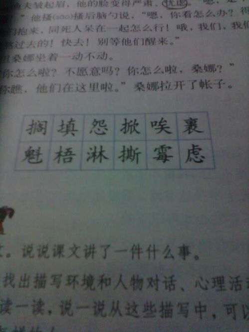 币哎组词(币组词组词语)