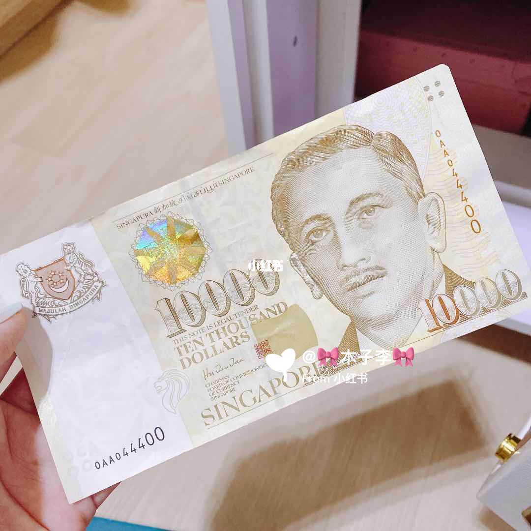 新币面值(新加坡币最大面值是多少)