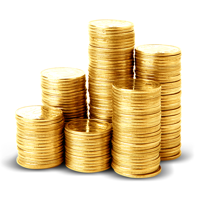 金元币(金元币什么时候取消的)