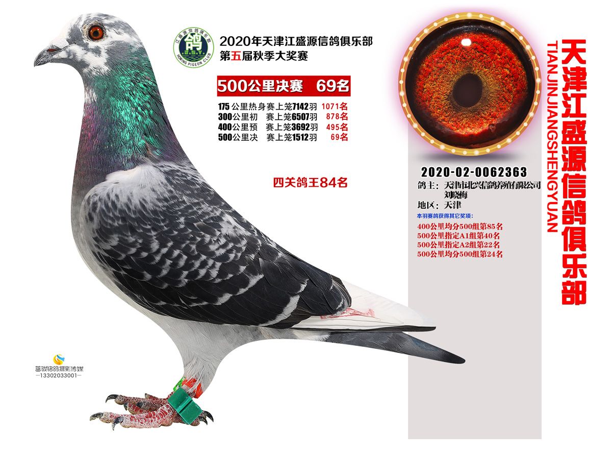盛源币今天价格(盛源币价格今日行情)