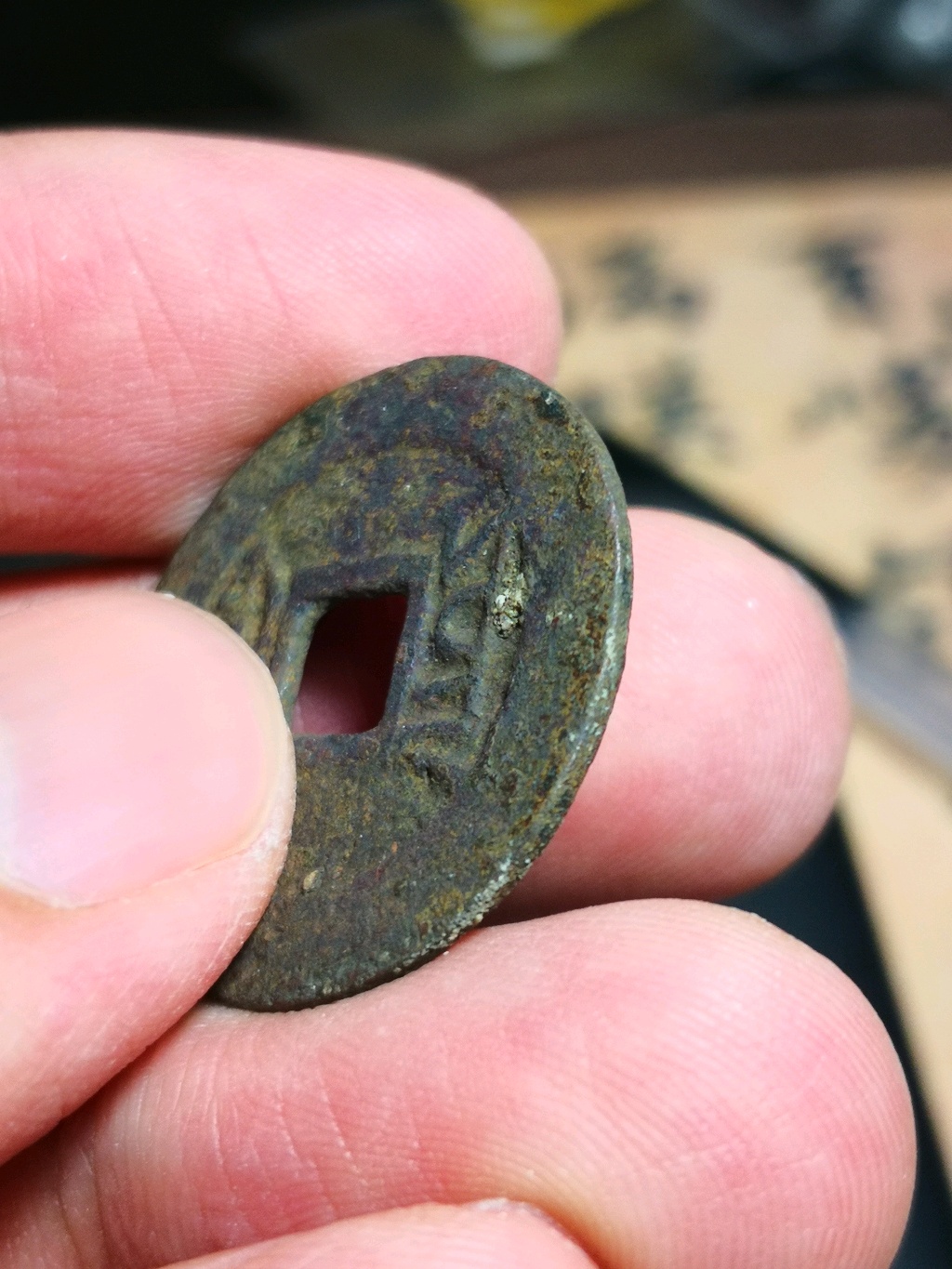 舍币(舍币里什么意思)