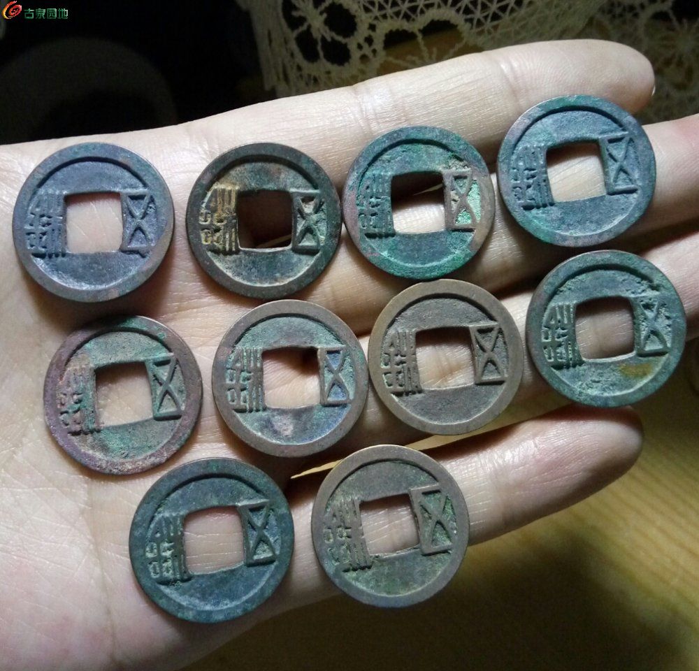 舍币(舍币里什么意思)