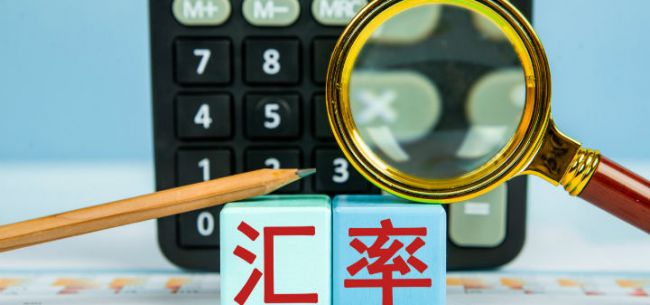 多货币对冲原理(货币市场对冲优缺点)