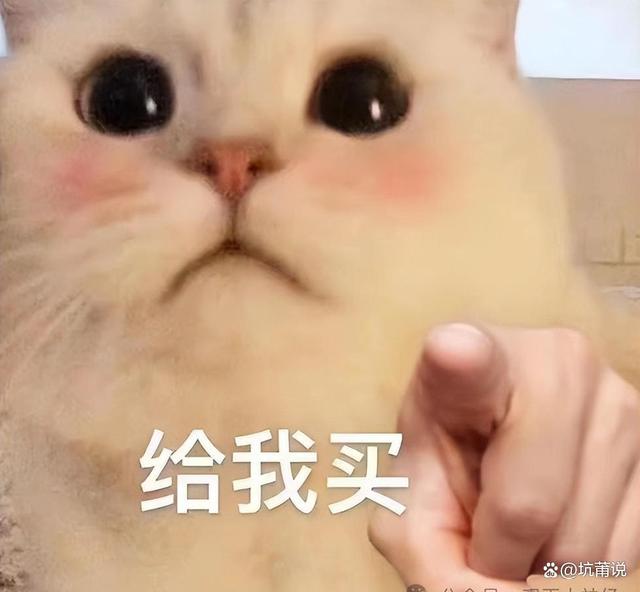 双货币差价(货币差价是什么意思)