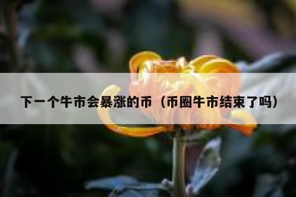 币圈几年一轮(币圈2021年底)