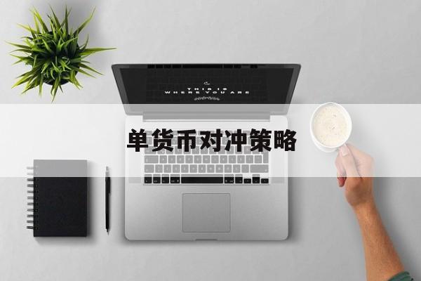 单货币对冲策略(货币对冲策略有哪些)